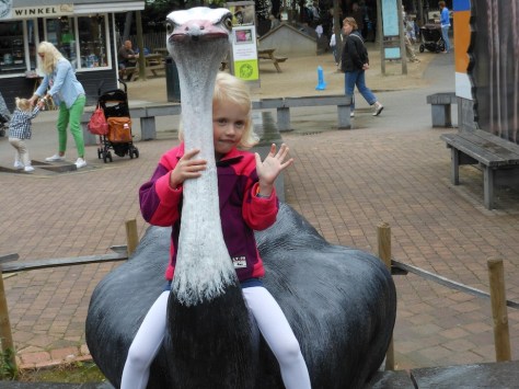 Daneé op de struisvogel